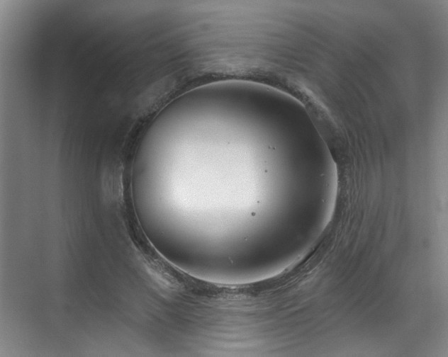 X0000070880685200606161203