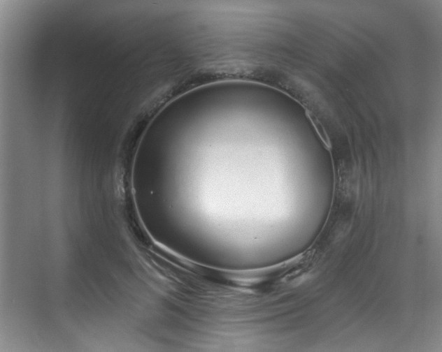 X0000070880692200606161203