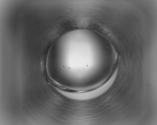 X0000070880697200606161203