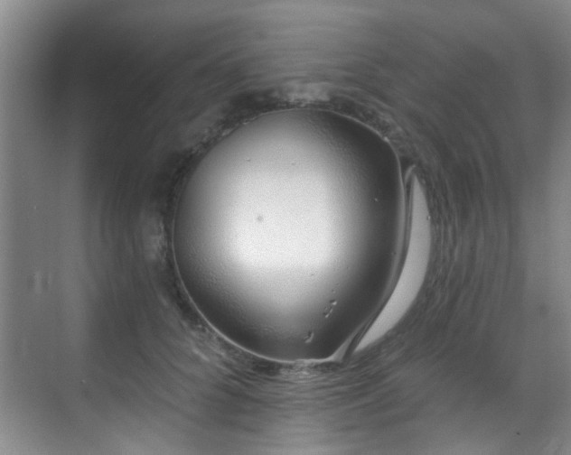 X0000070880704200606161203