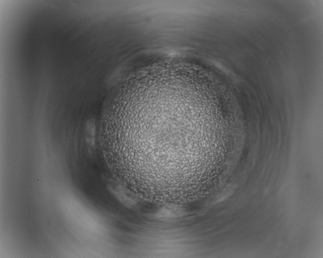 X0000070880720200606161202