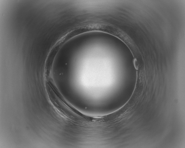 X0000070880722200606161202