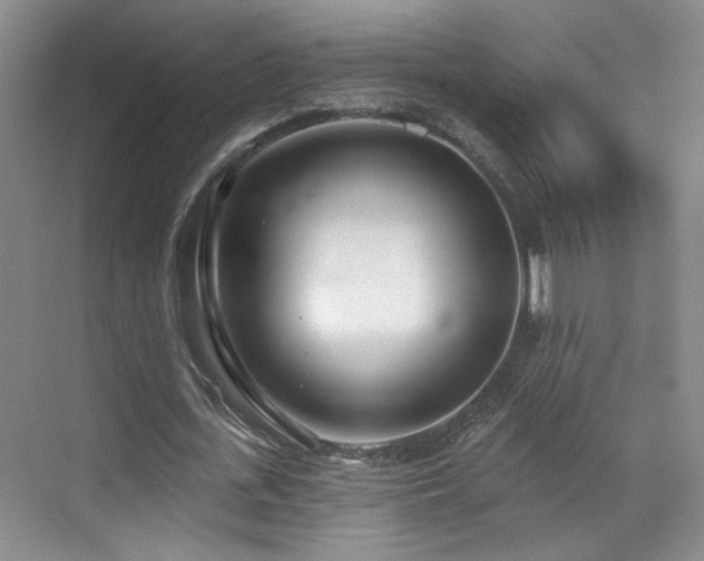 X0000070880723200606161202