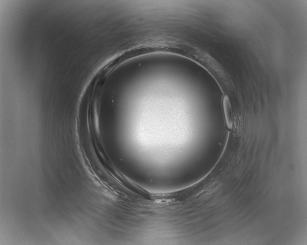 X0000070880724200606161202