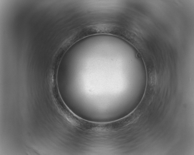 X0000070880733200606161202