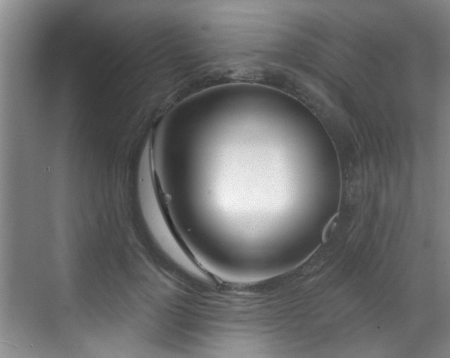 X0000070880748200606161202
