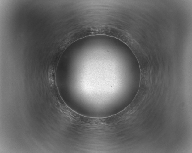X0000070880770200606161202