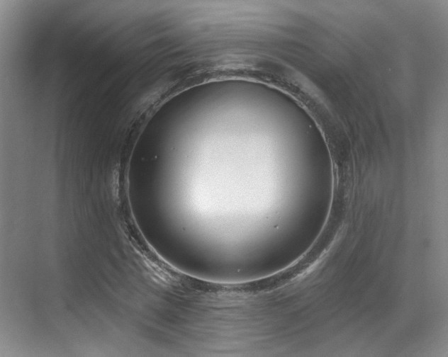 X0000070880777200606161201