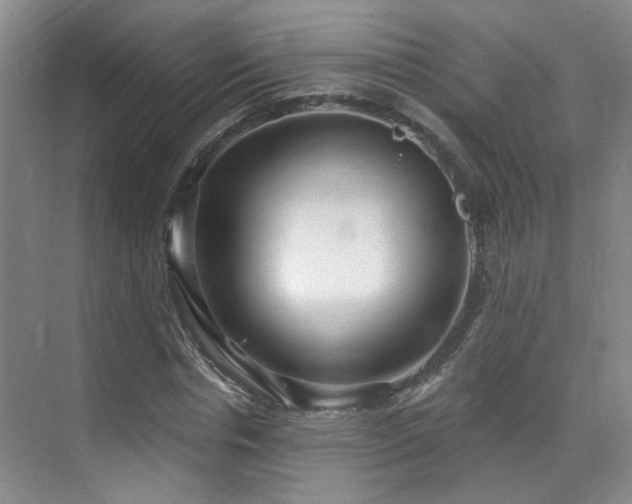 X0000070880826200606161200