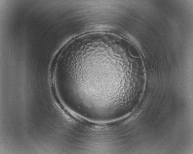 X0000070880835200606161200