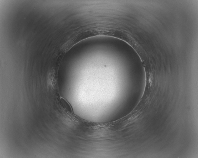 X0000070880867200606161200