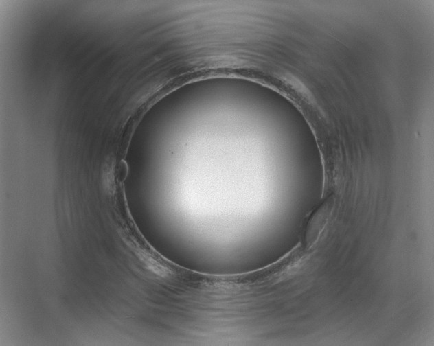 X0000070880873200606161200