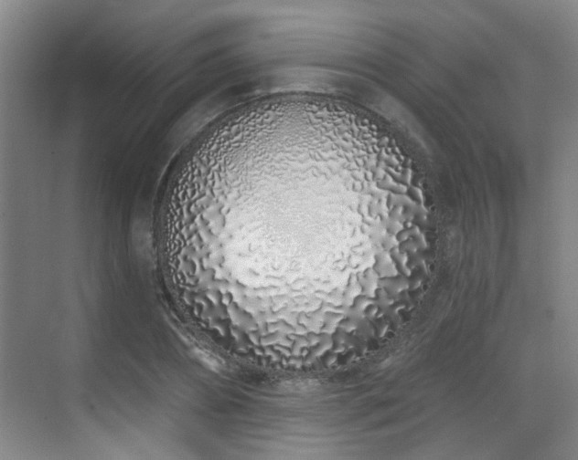 X0000070880882200606161200