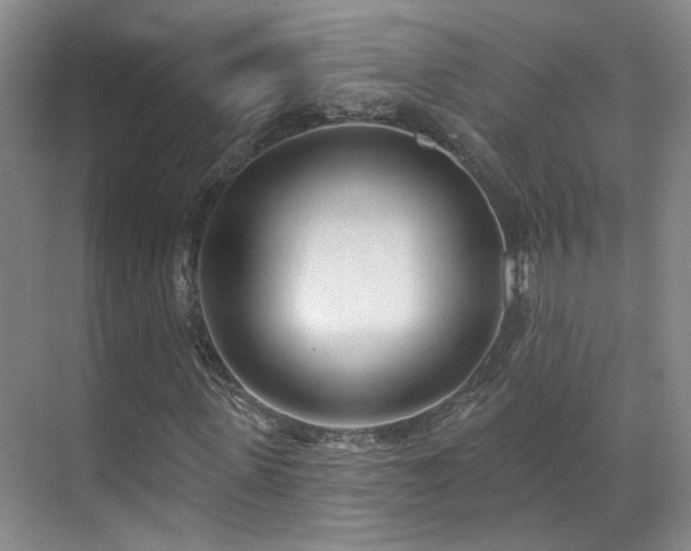 X0000070880915200606161158