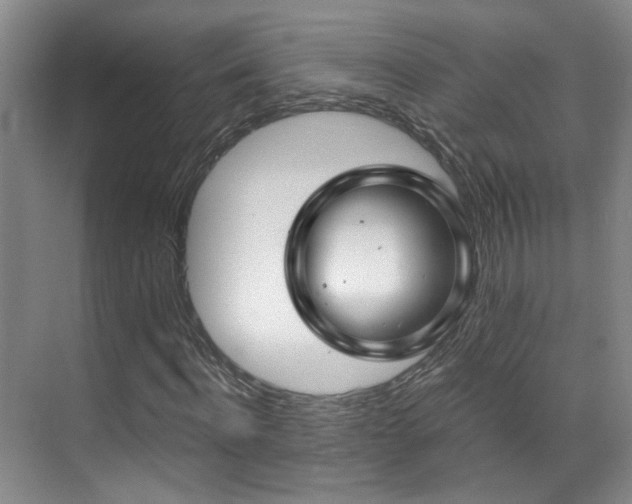 X0000070880916200606161158