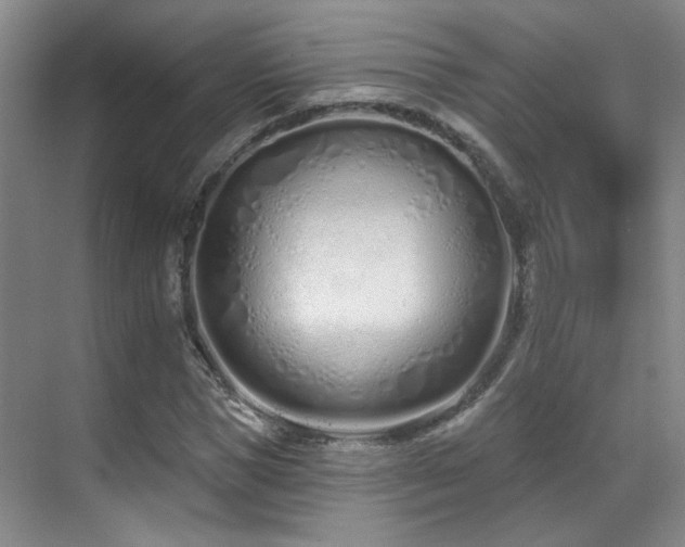 X0000070880921200606161158