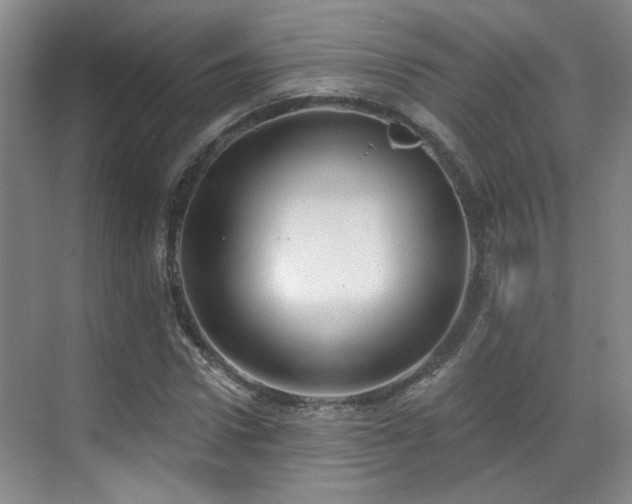 X0000070880922200606161159
