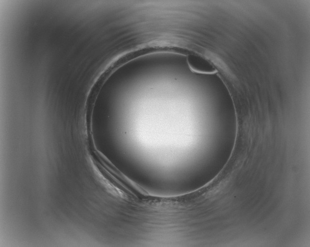 X0000070880934200606161159