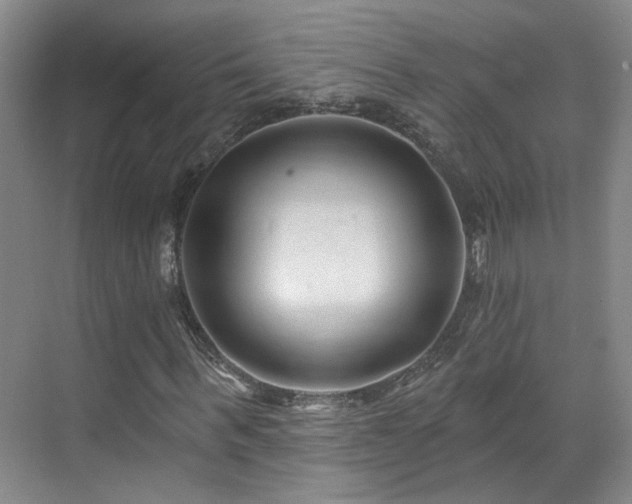X0000070880963200606161158