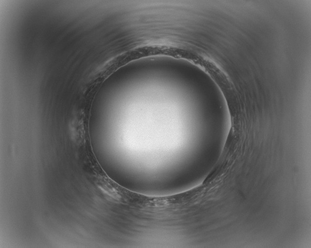 X0000070880968200606161158
