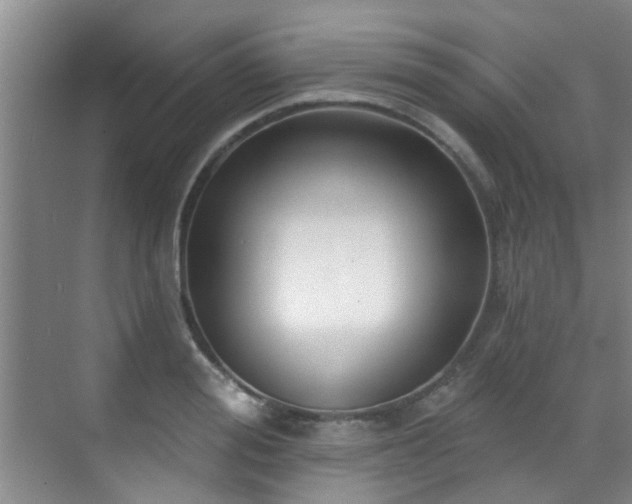 X0000070880988200606161158