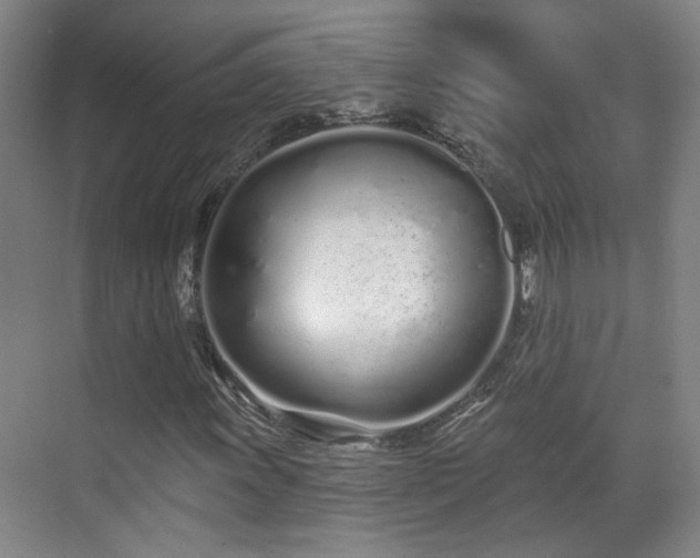 X0000070881011200606161157