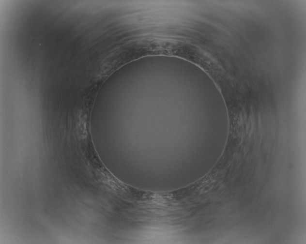 X0000070881013200606161157