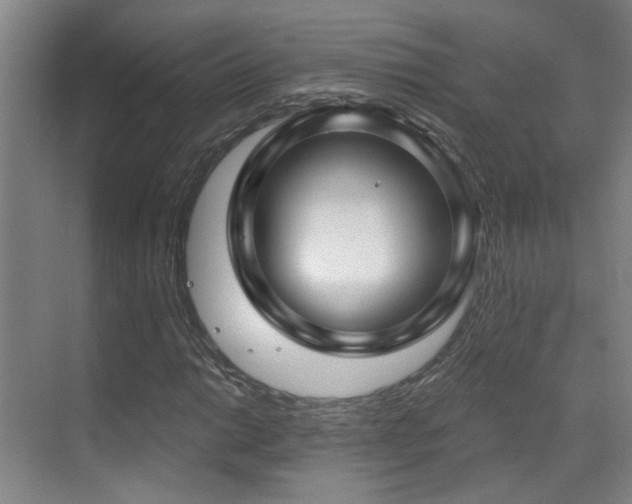 X0000070881014200606161157