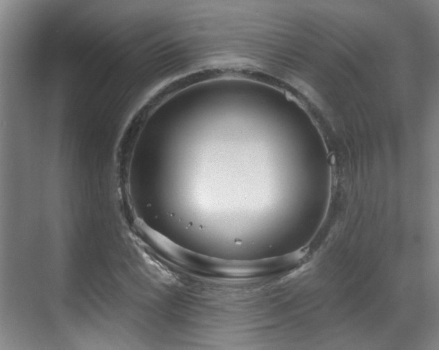 X0000070881022200606161157