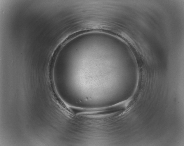 X0000070881023200606161157