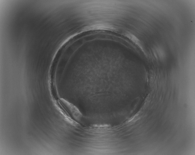 X0000070881024200606161157