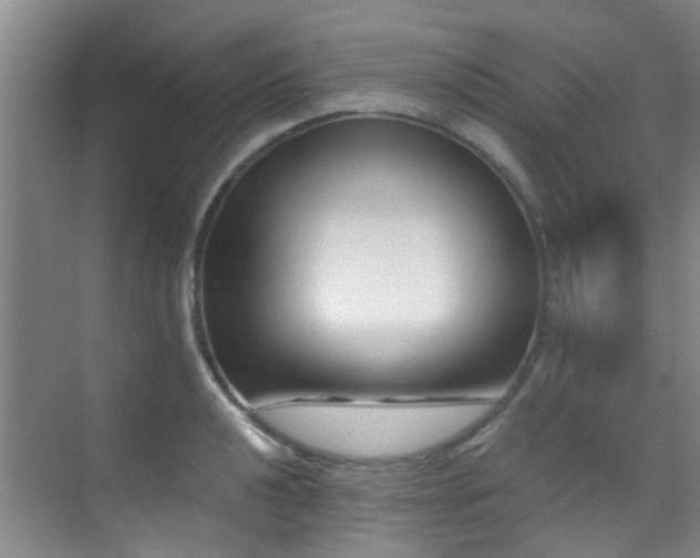 X0000070881040200606161157
