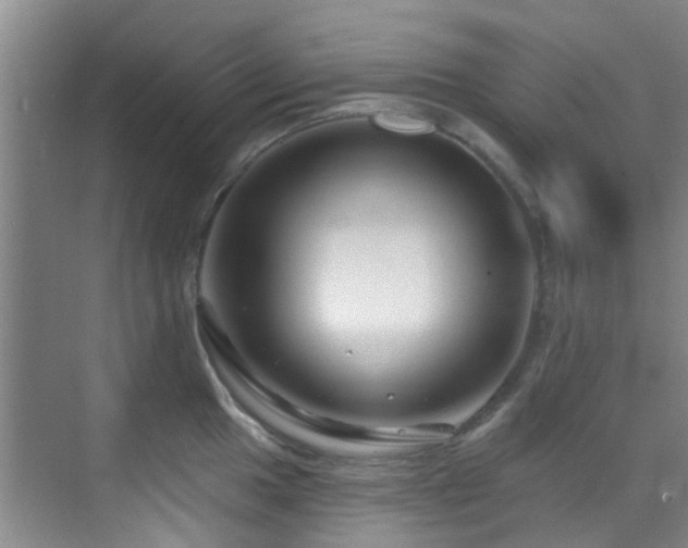 X0000070881049200606161157