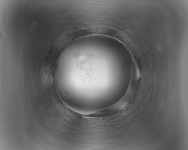 X0000070881058200606161157