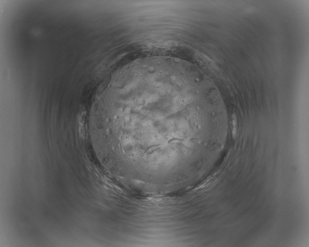 X0000070881059200606161157