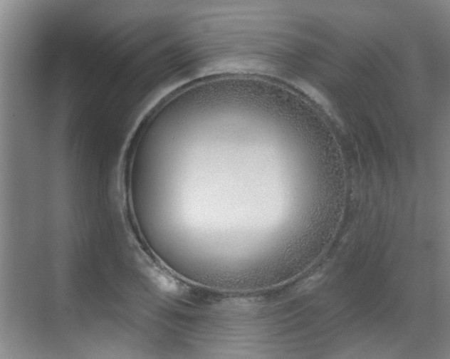 X0000070881078200606161156