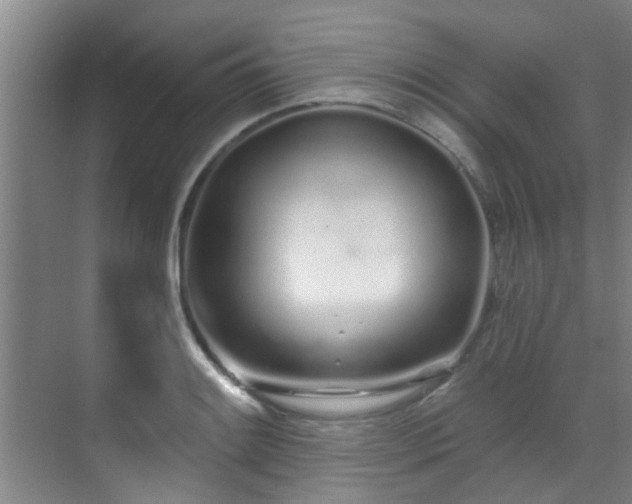 X0000070881084200606161156