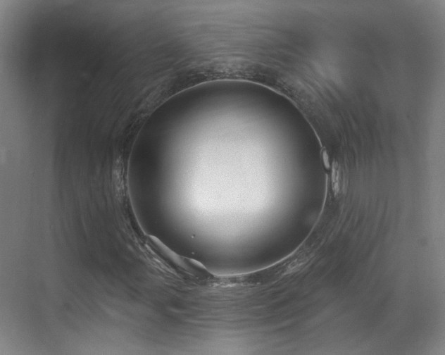 X0000070881107200606161155