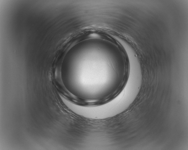 X0000070881110200606161155