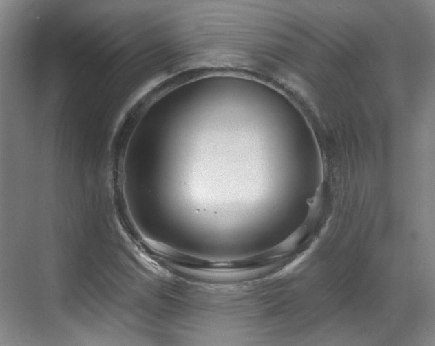 X0000070881114200606161155