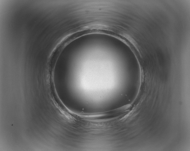 X0000070881115200606161155