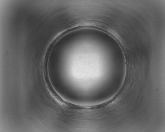 X0000070881127200606161155