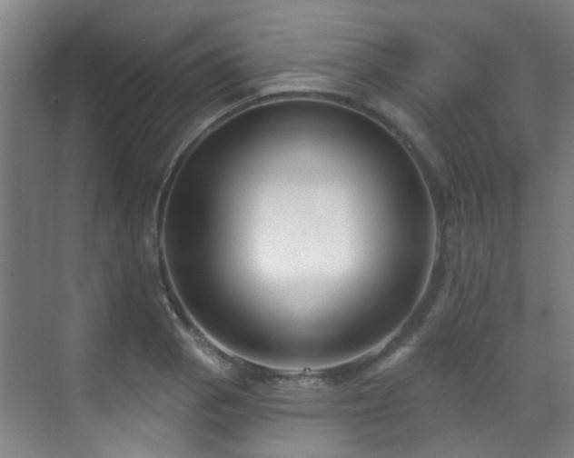 X0000070881129200606161156