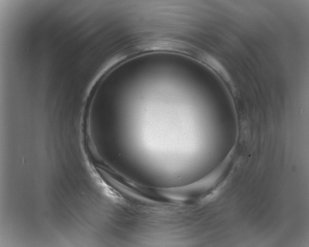 X0000070881138200606161156