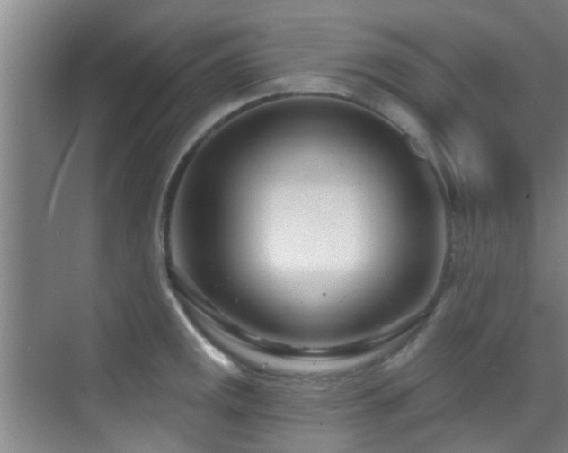 X0000070881141200606161156