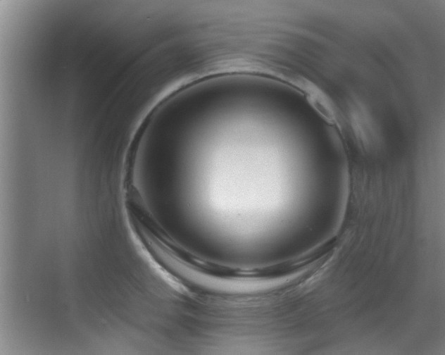 X0000070881142200606161156