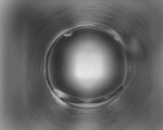 X0000070881143200606161156