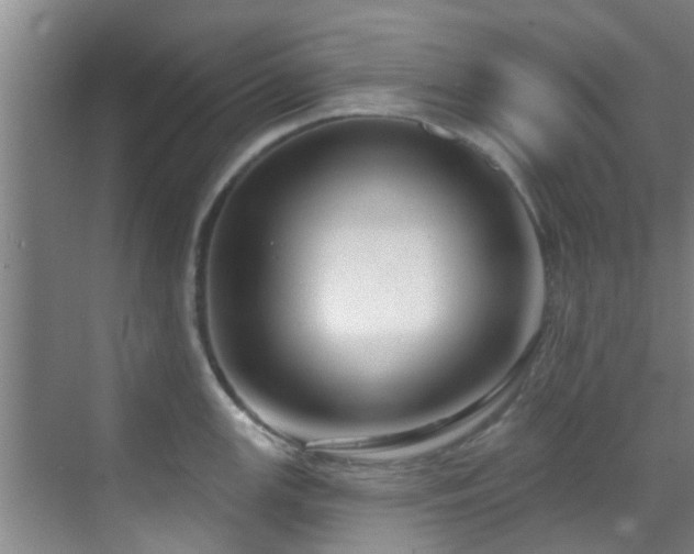 X0000070881147200606161156