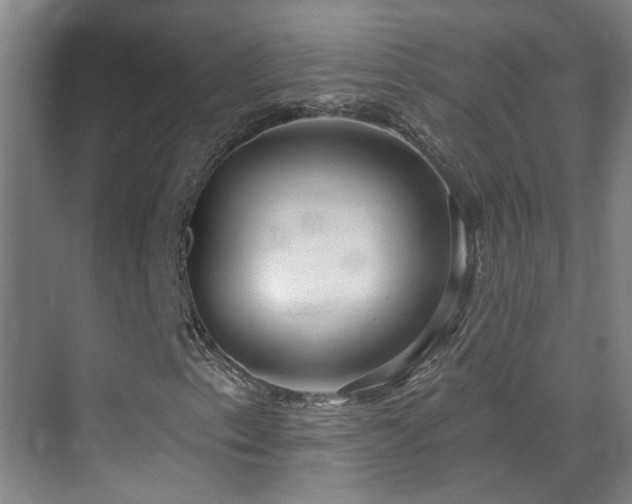 X0000070881153200606161155