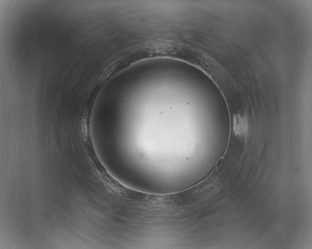X0000070881155200606161155